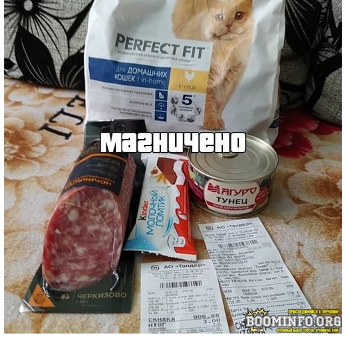 Получаем бесплатные продукты в сети «Магнит» 2021 слив курса