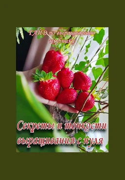 Ягодный Дворик Гайд по выращиванию клубники 2025 скачать слив