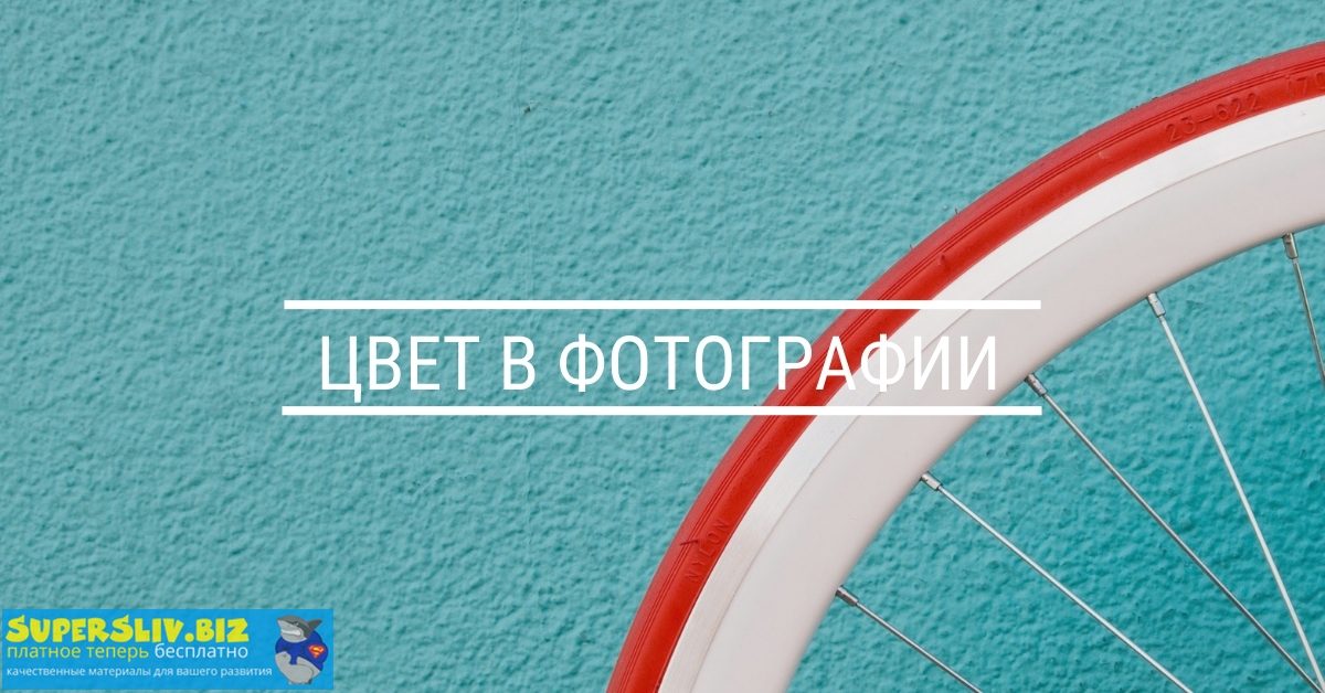 Photoplay Мария Климова - Цвет в фотографии 2020 слив курса