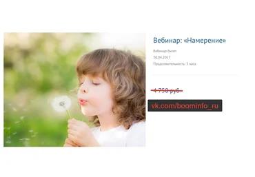 Вебинар: «Намерение» - Александр Палиенко 2017 слив