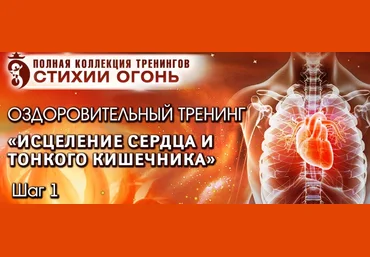Владимир Осипов Исцеление Сердца и Тонкого Кишечника. Стихия Огонь 2021 слив