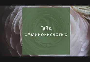 Елена Суханова Гайд Аминокислоты 2023 слив
