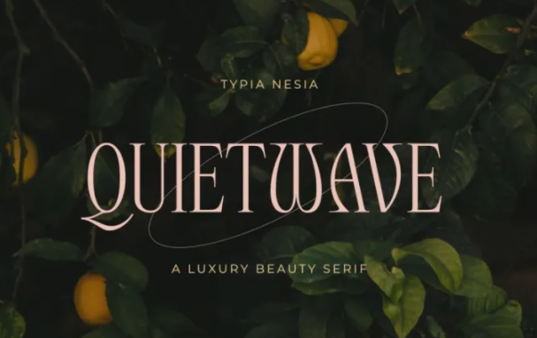 Creativemarket Quitewave Font 2021 слив курса