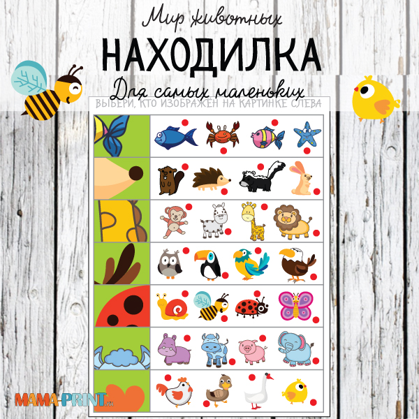Находилка. Мир животных - Mama-print 2017 слив курса