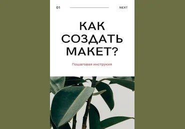 Dari_nela Как создать макет? Пошаговая инструкция 2020 слив