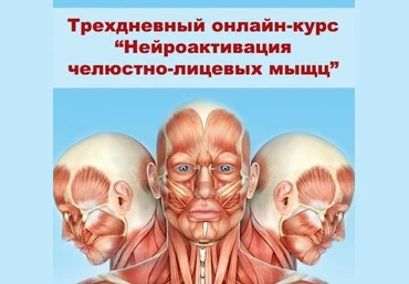 Александр Киреев, Татьяна и Евгений Коган Нейроактивация челюстно-лицевых мышц 2021 слив
