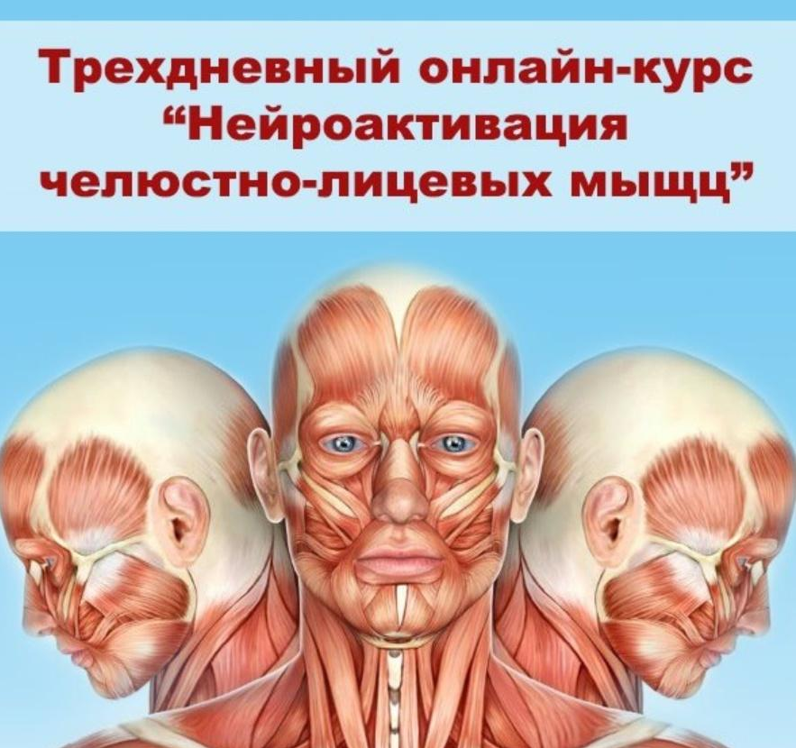 Александр Киреев, Татьяна и Евгений Коган Нейроактивация челюстно-лицевых мышц 2021 слив курса