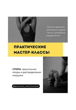 Александр Волоткевич Стопа: треугольник опоры и распределения нагрузки 2025 скачать слив
