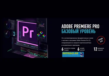 Дмитрий Ларионов Adobe Premiere Pro. Базовый уровень. Гибридный курс 2019 скачать слив