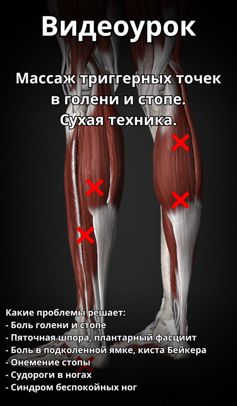Артем Пак Массаж триггерных точек в голени и стопе 2024 слив курса