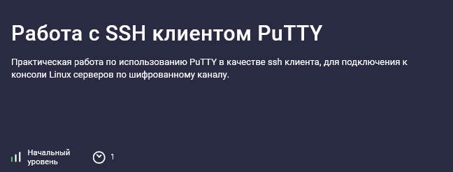 Николай Мищенков Stepik Работа с SSH клиентом PuTTY 2025 слив курса