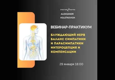 Александр Волоткевич Блуждающий нерв: баланс симпатики и парасимпатики 2025 скачать слив