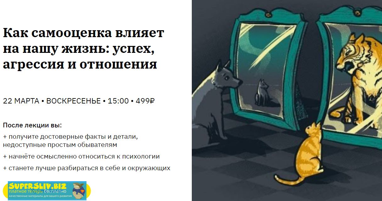 Анастасия Кулькова Как самооценка влияет на нашу жизнь: успех, агрессия и отношения 2020 слив курса