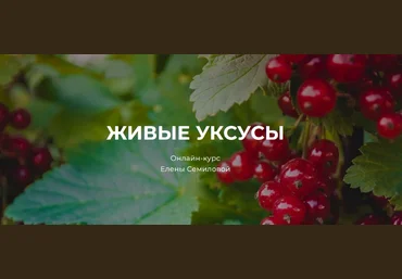 Елена Семилова Живые уксусы 2023 слив