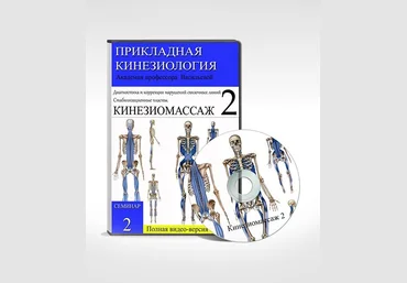 КИНЕЗИОМАССАЖ-2. Семинар. Связочные нарушения. слив