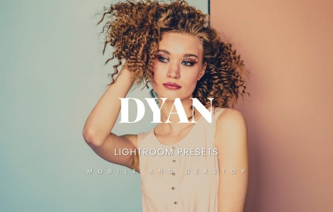 Elements.Envato Dyan Lightroom Presets Dekstop and Mobile 2021 слив курса