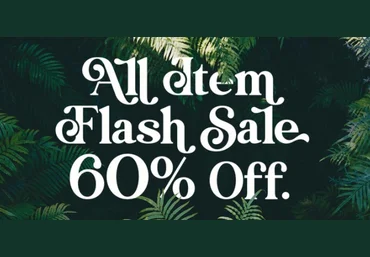 Myfonts Rachel Brown Font 2021 слив