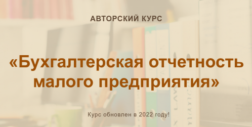 Ольга Шулова, Валентина Власенко Бухгалтерская отчетность малого предприятия 2022 слив курса