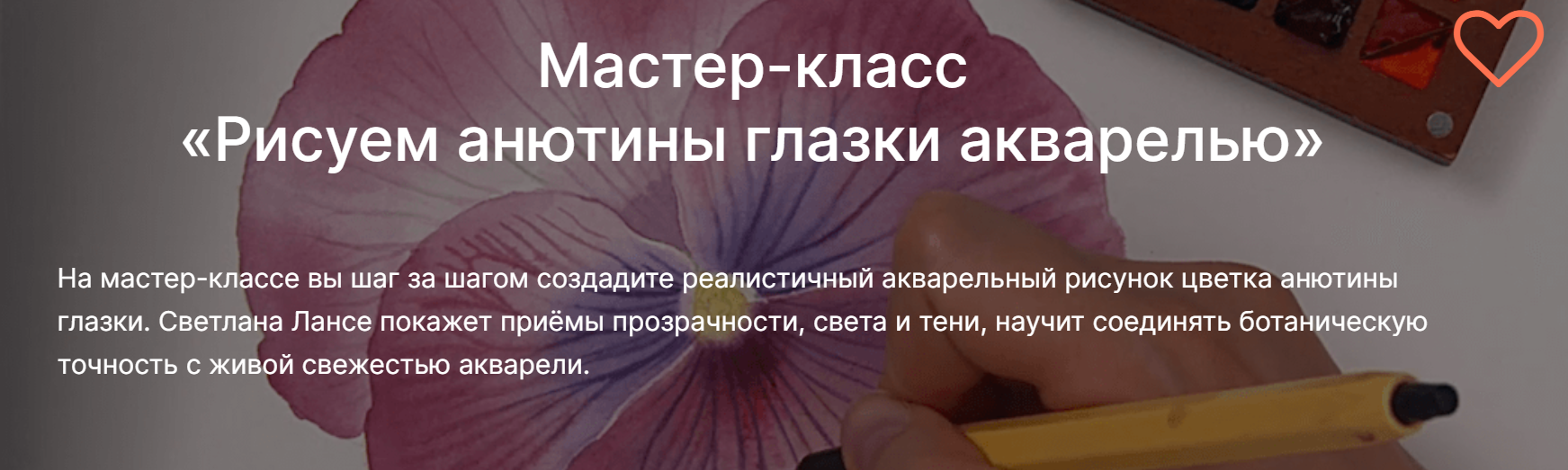 lectoroom Светлана Лансе ― Рисуем анютины глазки акварелью 2025 слив курса