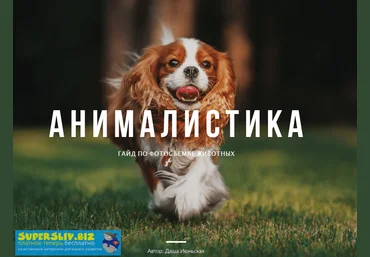 Даша Июньская Мнималистика. Гайд по фотосъемке животных 2020 слив