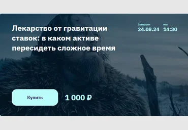 Элвис Марламов Лекарство от гравитации ставок - в каком активе пересидеть сложное время 2024 слив