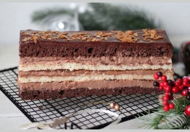 Олеся Шубина Пляцоки 2024 слив