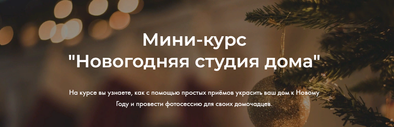 Яна Савина Новогодняя студия дома 2023 слив курса