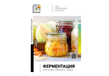 И. Баранова, Т. Смольянинова, А. Баранова Первая школа биохакинга Гайд по ферментации 2023 слив