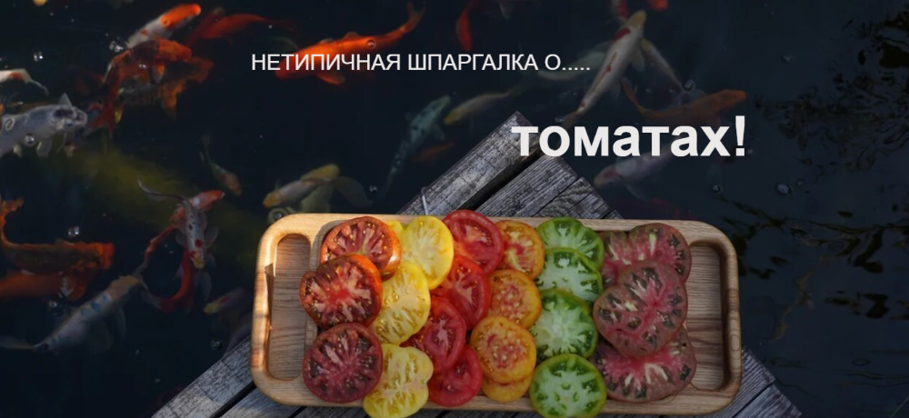 Нетипичный Фермер Анна Акинина ― Нетипичная шпаргалка о томатах 2020 слив курса