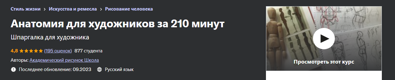 Udemy Дарья Остапенко-Праведникова - Анатомия для художников за 210 минут 2023 слив курса