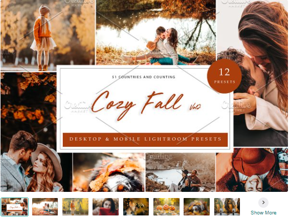 Creativemarket 12 Lightroom Presets Cozy Fall Vol 2 2021 слив курса