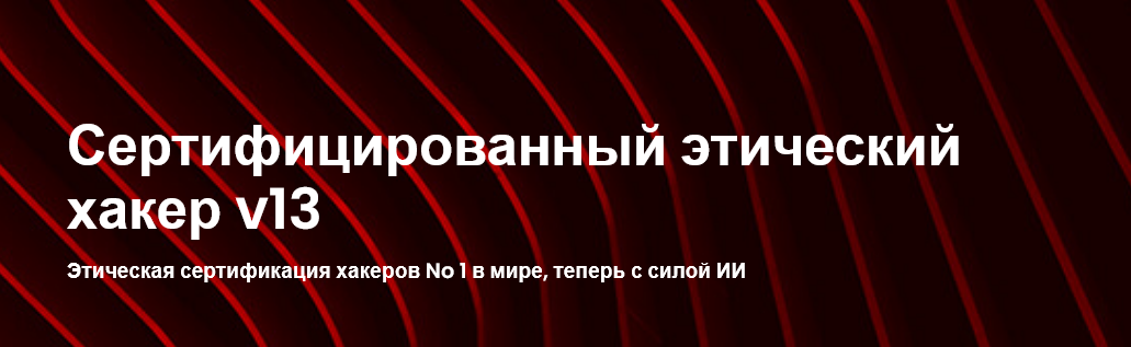 EC-Council CEH v13. Этичный хакинг и тестирование на проникновение. Часть 2 2024 слив курса