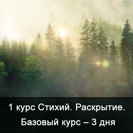 Ксения Меньшикова Факультет Стихии. 1 курс. 1 курс Стихий. Сила Стихий. Базовый курс 2025 слив курса