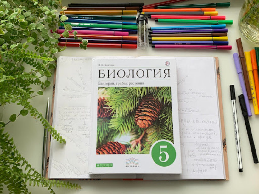 Алина Чабуткина БотаникУм 2023 слив курса