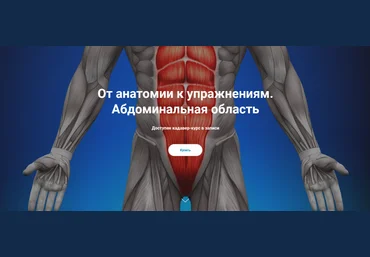 Антон Шапочка, Михаил Касаткин От анатомии к упражнениям. Абдоминальная область 2022 слив