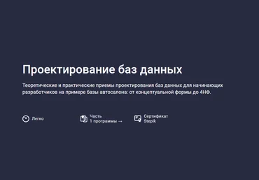 Никита Шультайс Stepik Проектирование баз данных 2023 слив