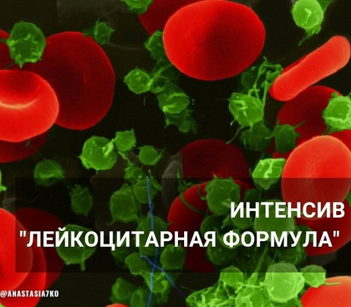 Анастасия Семко Лейкоцитарная формула 2024 слив курса