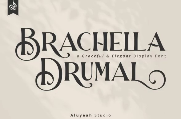 Fontbundles Brachella Drumal Font 2021 слив курса