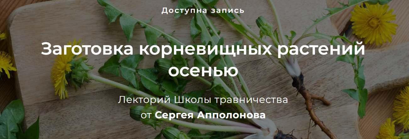 Сергей Апполонов Заготовка корневищных растений осенью 2023 слив курса