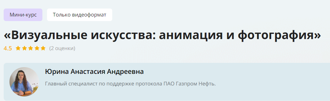 Инфоурок Анастасия Юрина ― Визуальные искусства: анимация и фотография 2024 слив курса