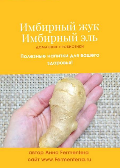 Анна Fermenterra Fermenterra Имбирный жук. Имбирный эль 2023 слив курса