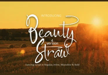 Creativefabrica Beauty Straw Font слив