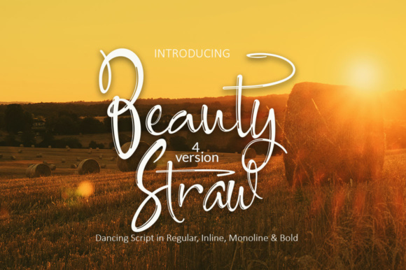 Creativefabrica Beauty Straw Font слив курса