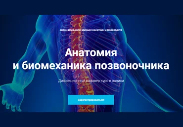 Антон Епифанов, Михаил Касаткин Анатомия и биомеханика позвоночника 2020 слив