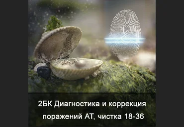 Ксения Меньшикова 2БК Диагностика и коррекция поражений АТ, чистка от 18 до 36 лет 2021 слив