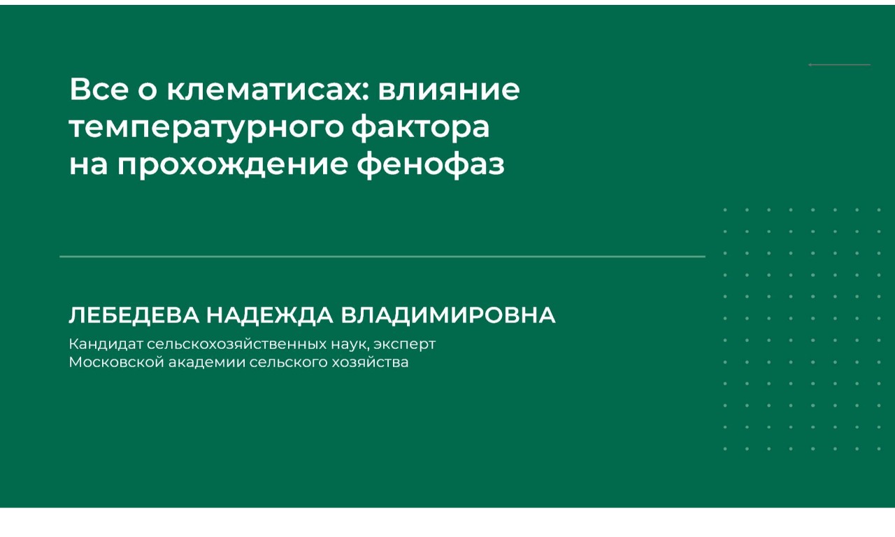 Надежда Лебедева Все о клематисах: влияние температурного фактора на прохождение фенофаз 2024 слив курса