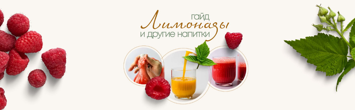 Сергей Леонов leonov_chef Лимонады и другие напитки 2022 слив курса