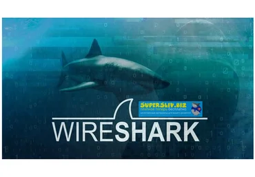 Udemy Wireshark: пакетный анализ и этический взлом: основные навыки 2019 слив