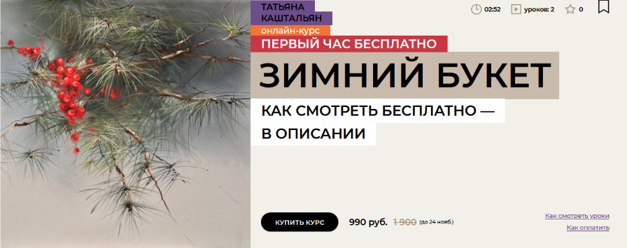 Татьяна Каштальян enterclass Зимний букет 2024 слив курса