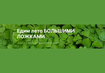 Валерий Коршунов Ё-Маззай Курс по дикоросам: Едим лето большими ложками 2024 слив